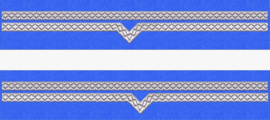 GRADE MANECA MAISTRU MILITAR CLASA 4 FORTE AERIENE